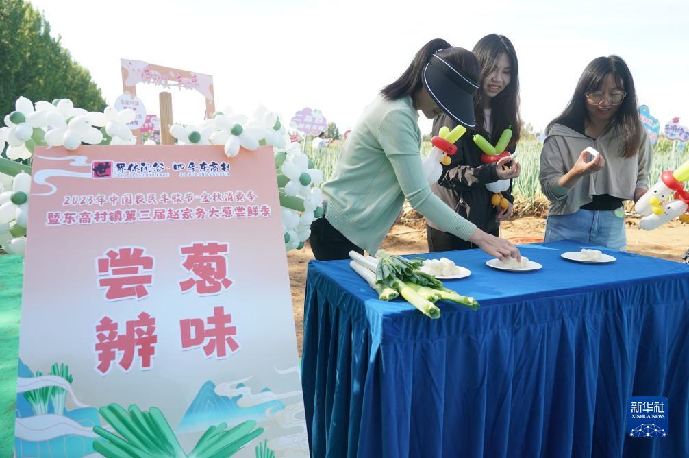 摸摸鱼游戏下载